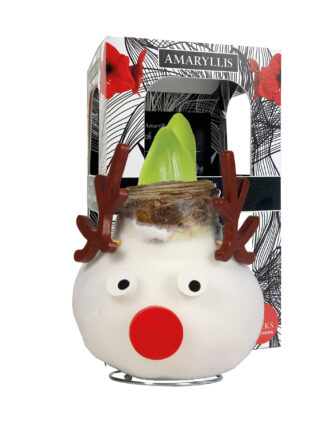 SE-04 in carton gift box / red flower