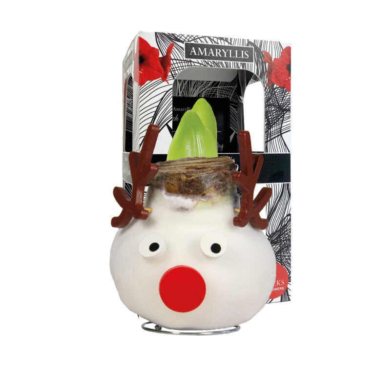 SE-04 in carton gift box / red flower
