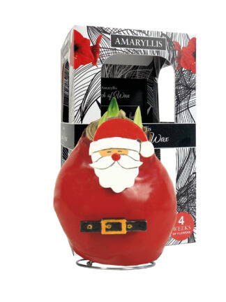 SE-05 in carton gift box / red flower