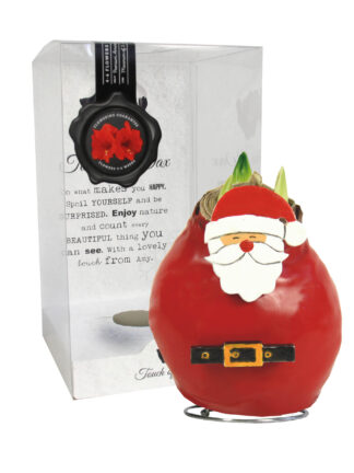 SE-05 in PET gift box / red flower