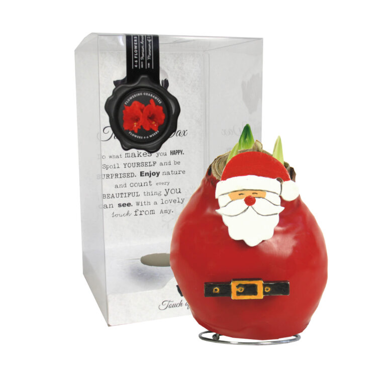 SE-05 in PET gift box / red flower
