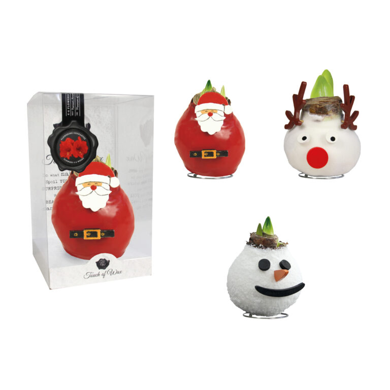 SE-14 mixed varieties in PET gift box / red flower