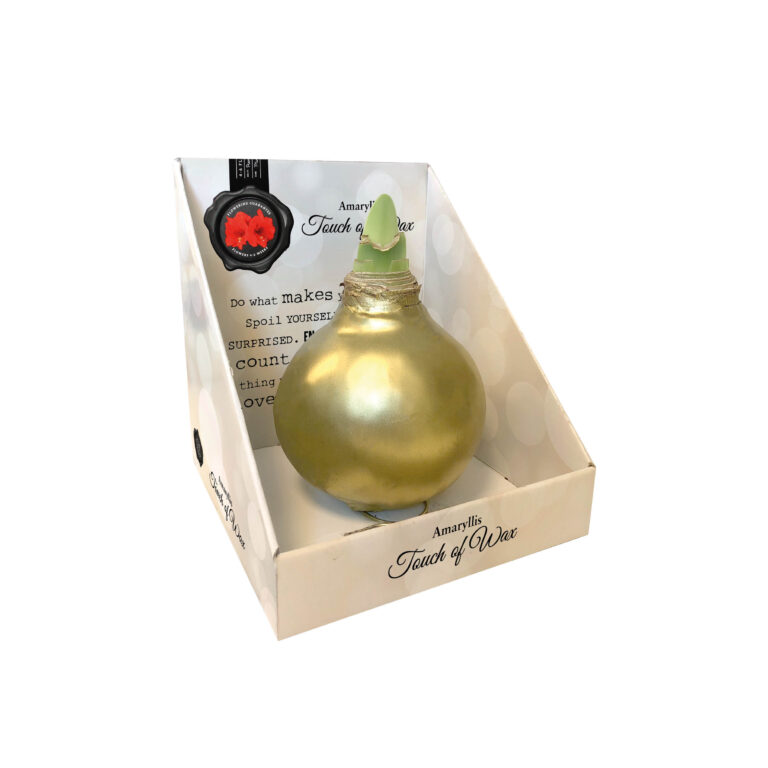 SE-12 in carton gift box / double / red flower