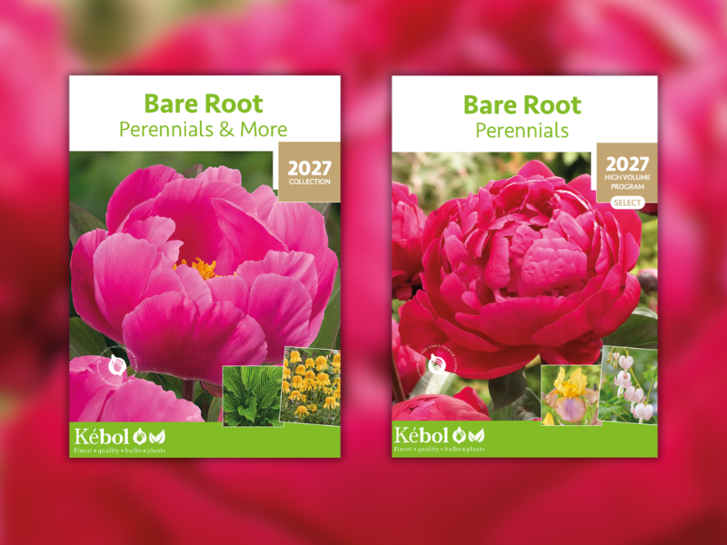 Header of the two new 2027 catalogues of bare root perennials