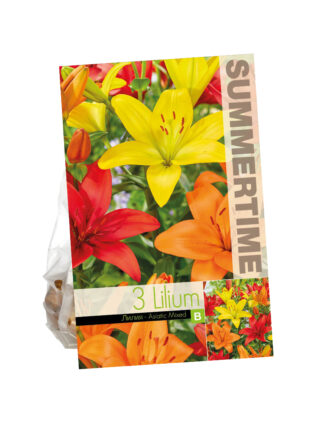 Lilies Asiatic Mixed