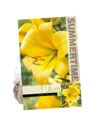Lilies Yellow Planet