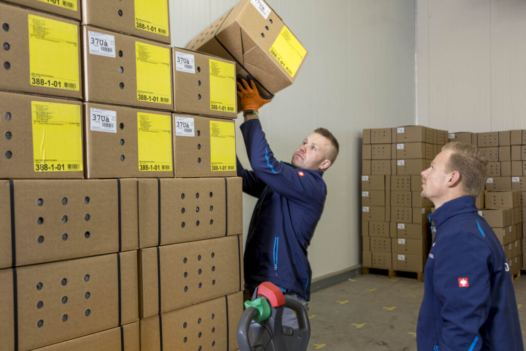 Employees are stacking boxes on top of each other.