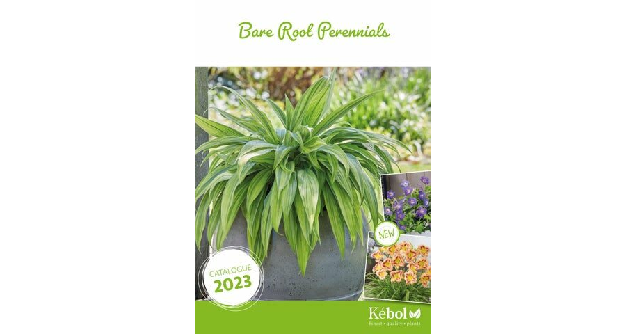 Kebol Plants Bare Root Perennials catalogue 2023