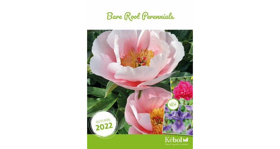 Kebol Plants Bare Root Perennials catalogue Autumn 2022