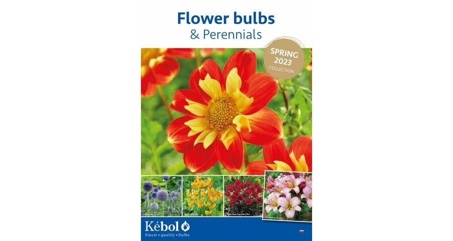 Kebol Spring 2023 flower bulbs and perennials