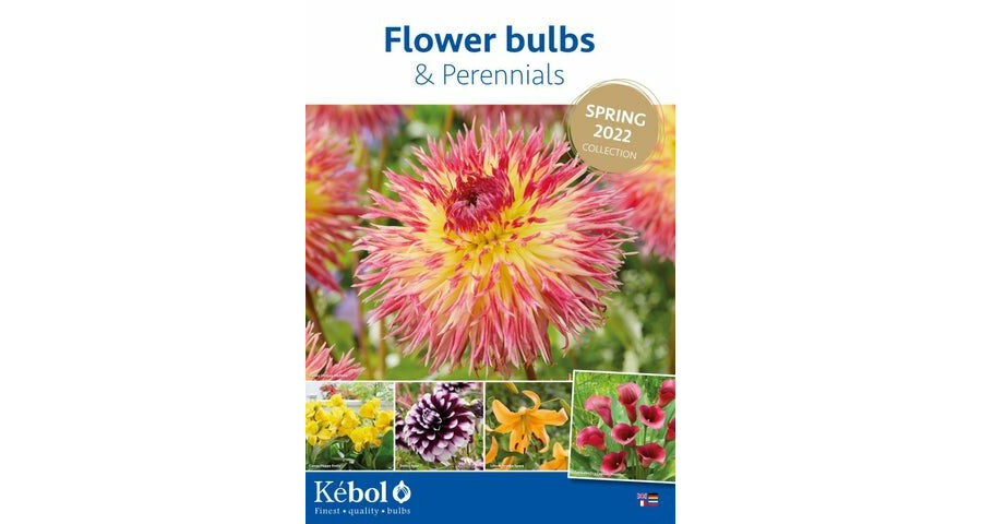 Kebol flower bulbs & perennials assortiment Spring 2022